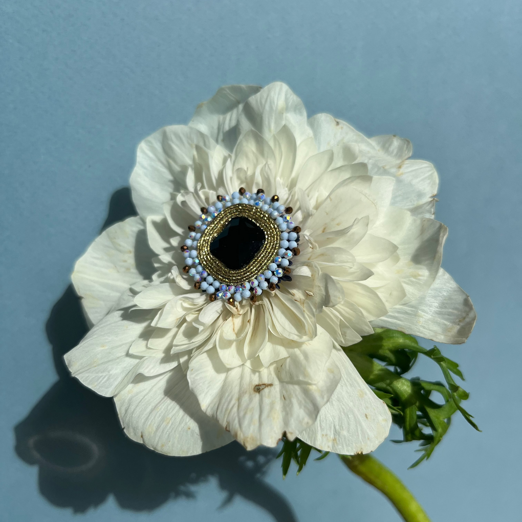 Anemone Boreal